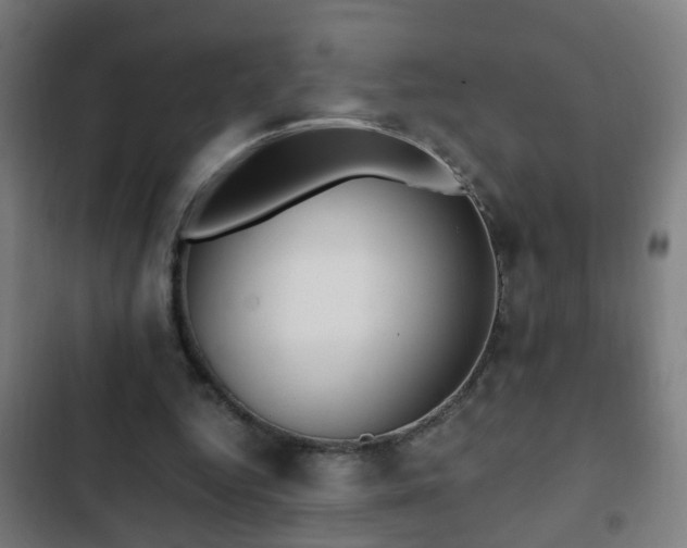 X0000103130344200808291321