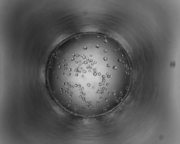 X0000103130345200808291321
