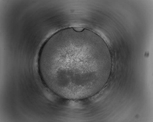 X0000103130346200808291321