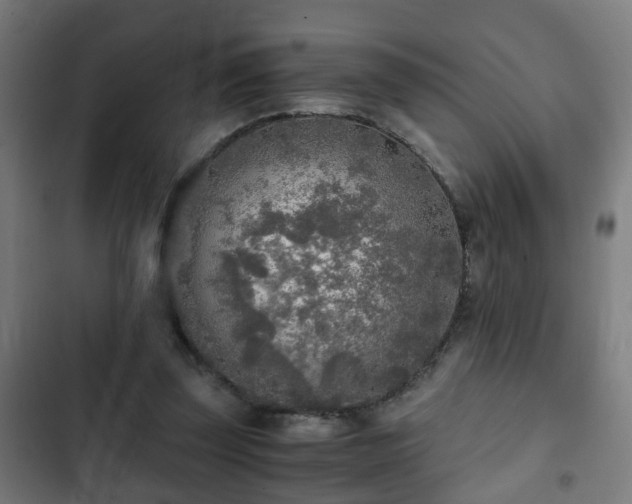 X0000103130347200808291321