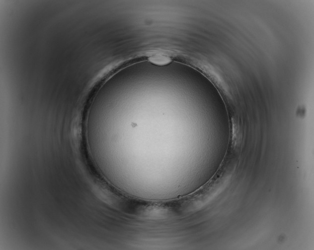 X0000103130348200808291321