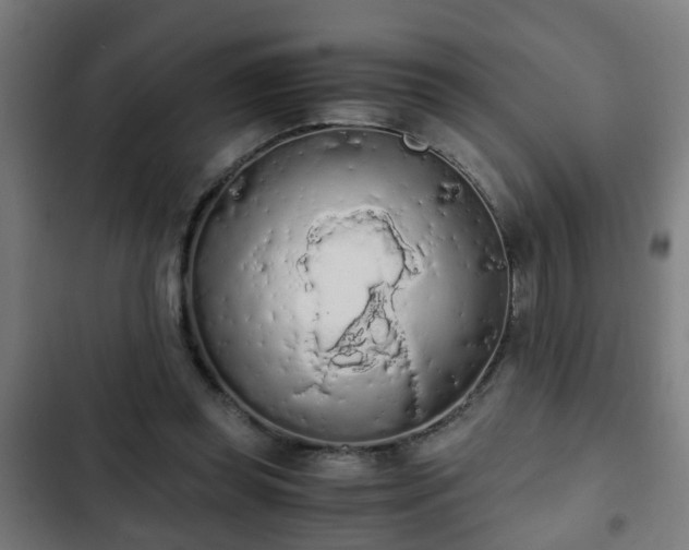 X0000103130349200808291321