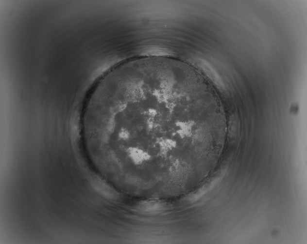 X0000103130351200808291321