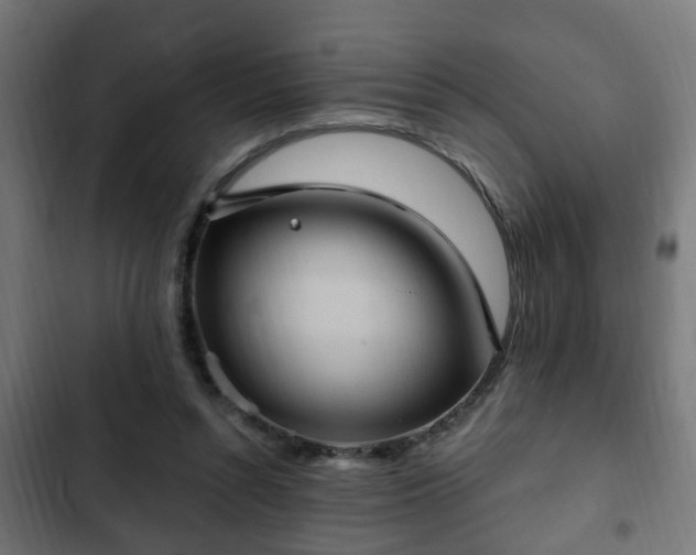 X0000103130352200808291321