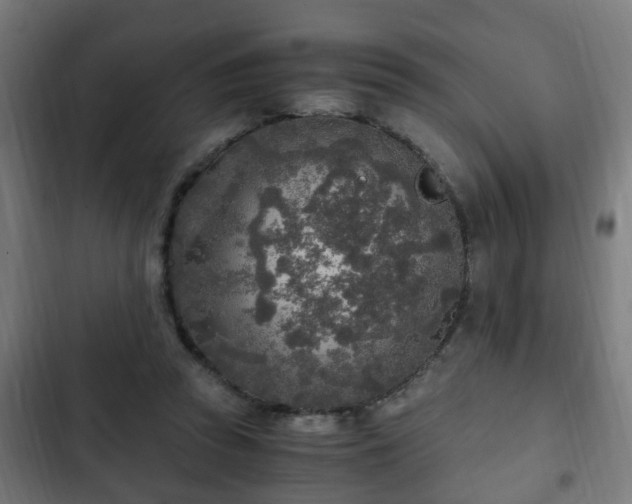 X0000103130353200808291321