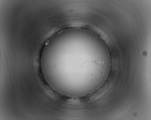 X0000103130354200808291321