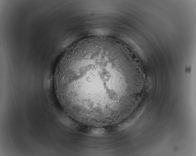 X0000103130355200808291321