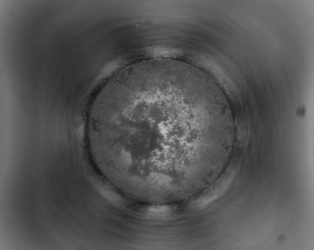 X0000103130357200808291321