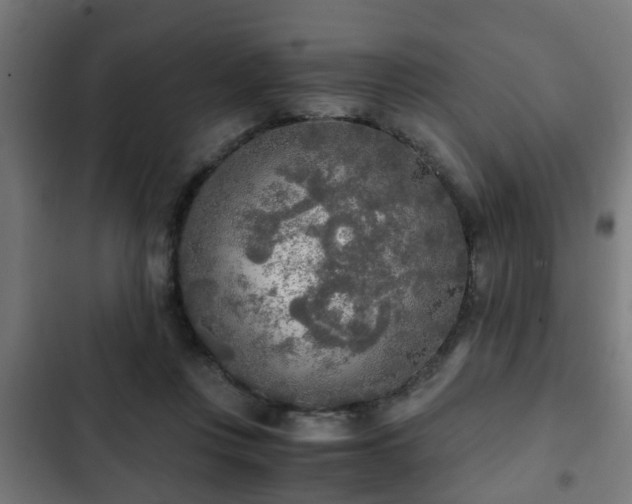 X0000103130359200808291321