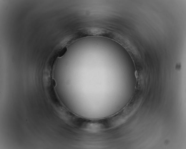 X0000103130360200808291321