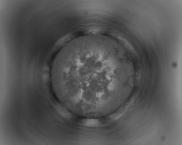 X0000103130361200808291321