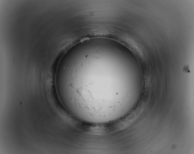 X0000103130362200808291321