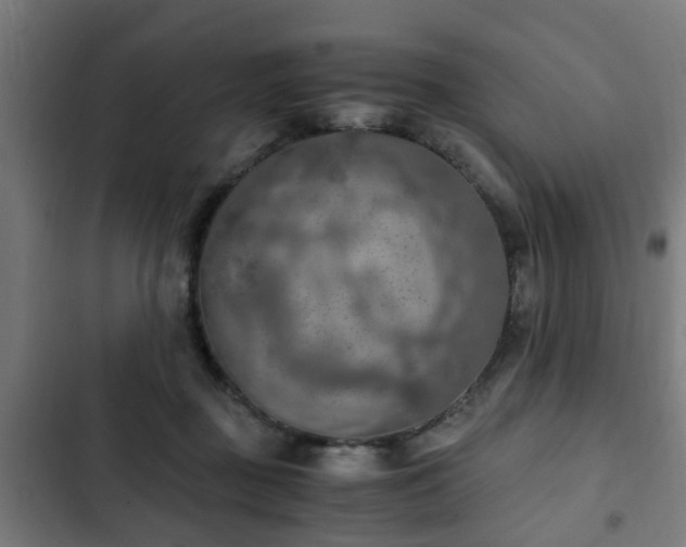 X0000103130363200808291321