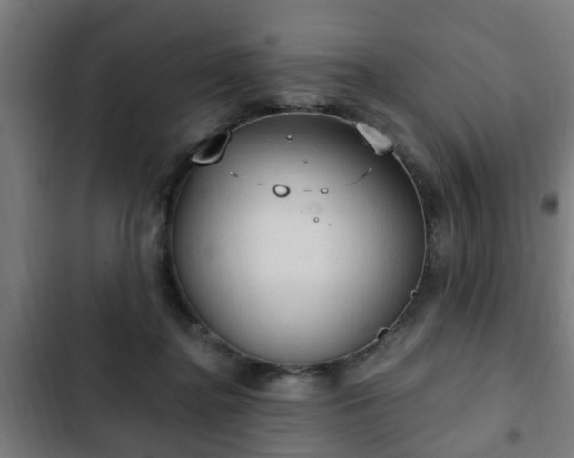 X0000103130364200808291321