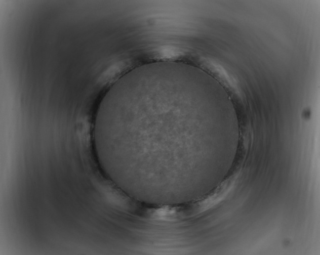 X0000103130366200808291321