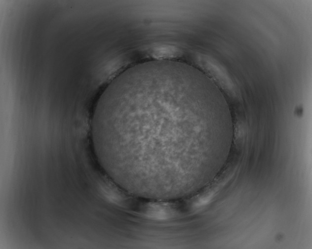 X0000103130367200808291321