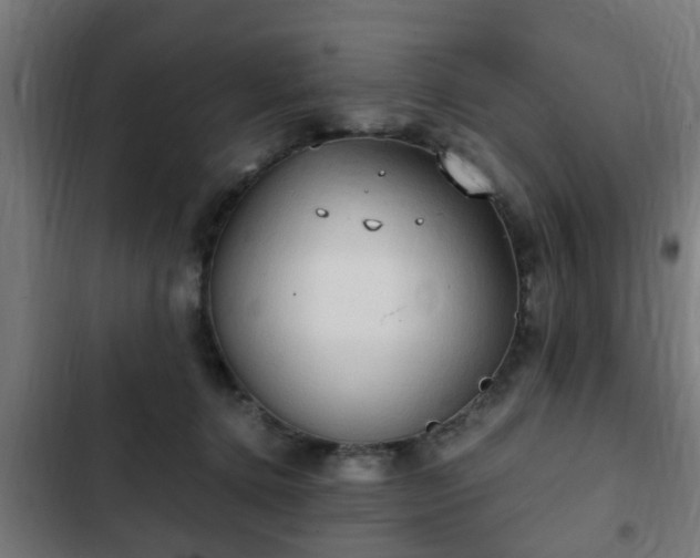 X0000103130368200808291321