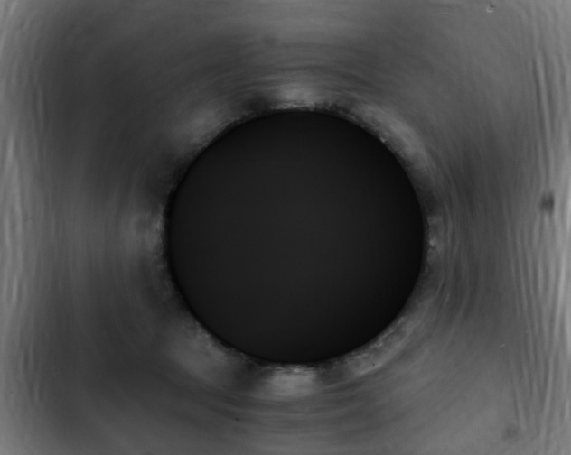 X0000103130369200808291321