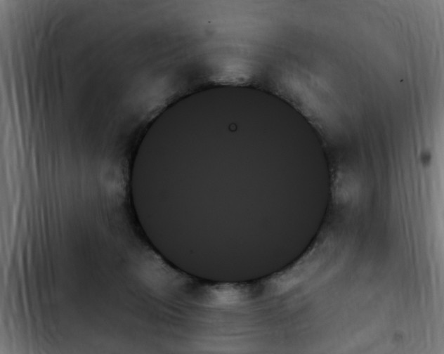 X0000103130370200808291321