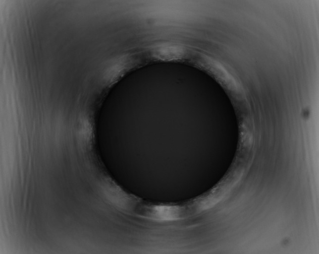 X0000103130371200808291321