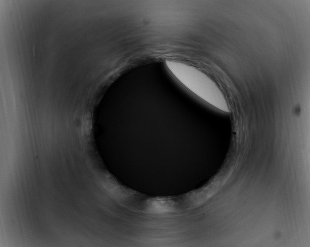 X0000103130372200808291321