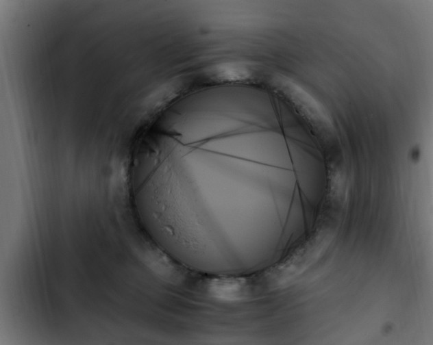 X0000103130373200808291321