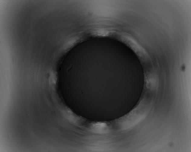 X0000103130374200808291321