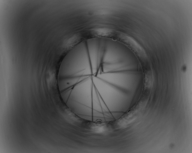 X0000103130377200808291321