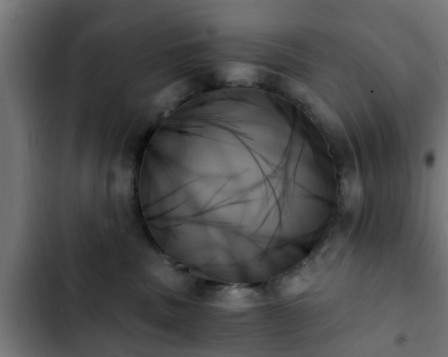 X0000103130379200808291321