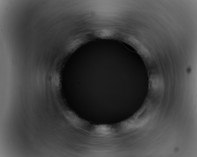 X0000103130380200808291321