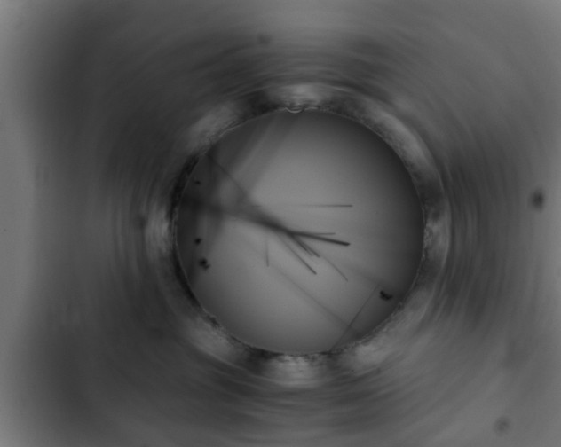 X0000103130381200808291321