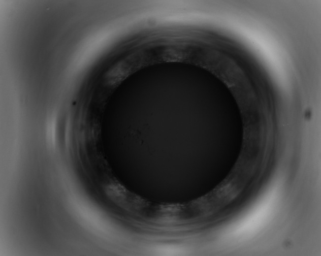 X0000103130382200808291321