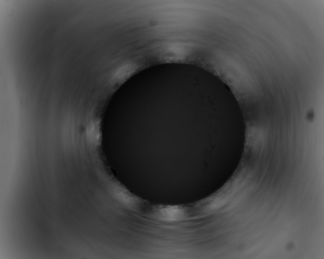 X0000103130383200808291321