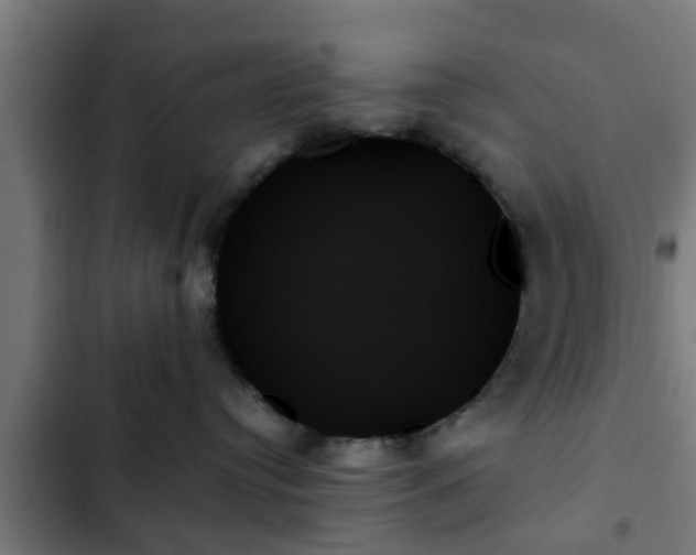 X0000103130384200808291321