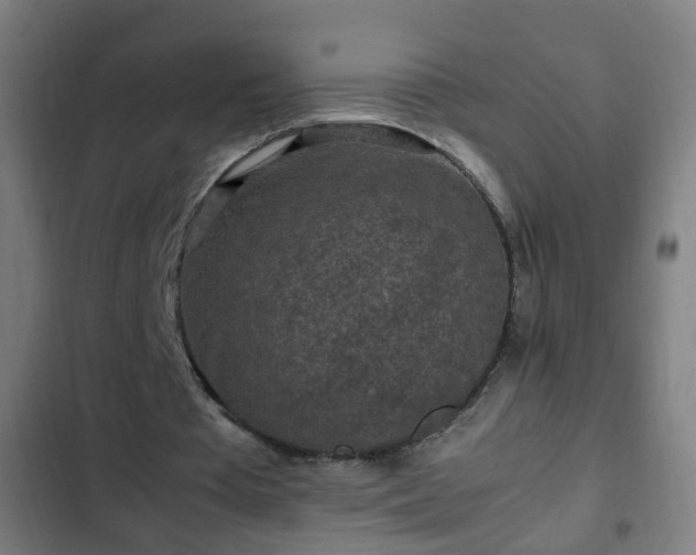 X0000103130385200808291321