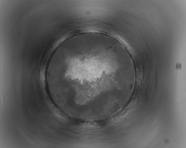 X0000103130386200808291321