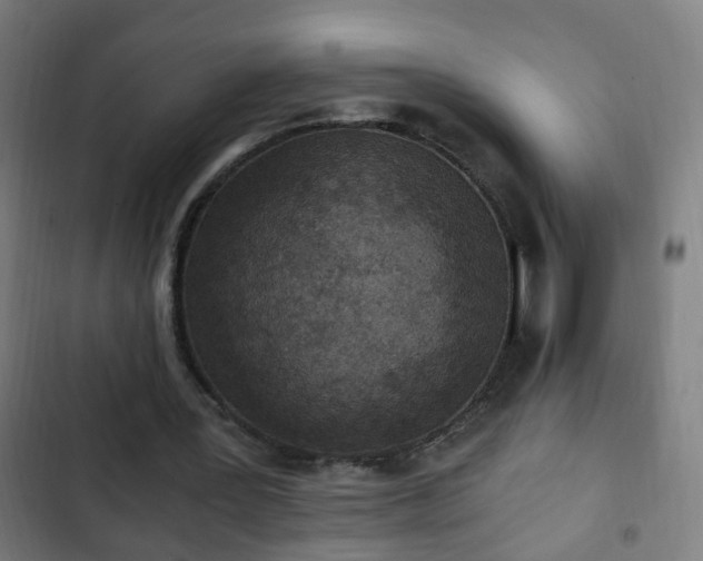 X0000103130387200808291321