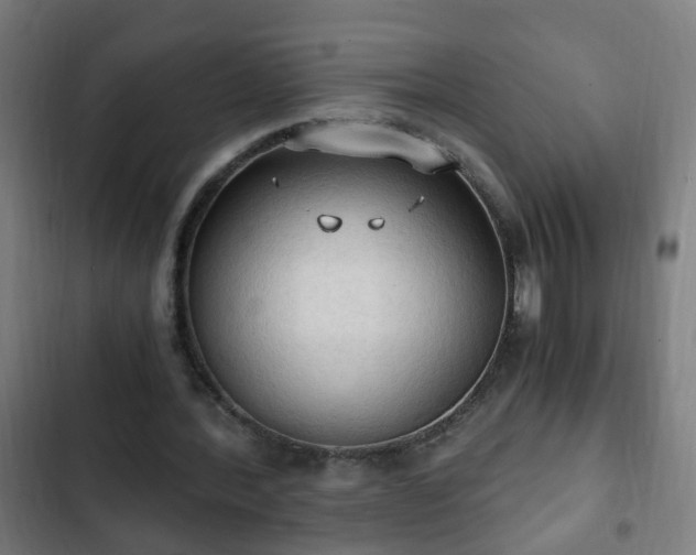 X0000103130388200808291321