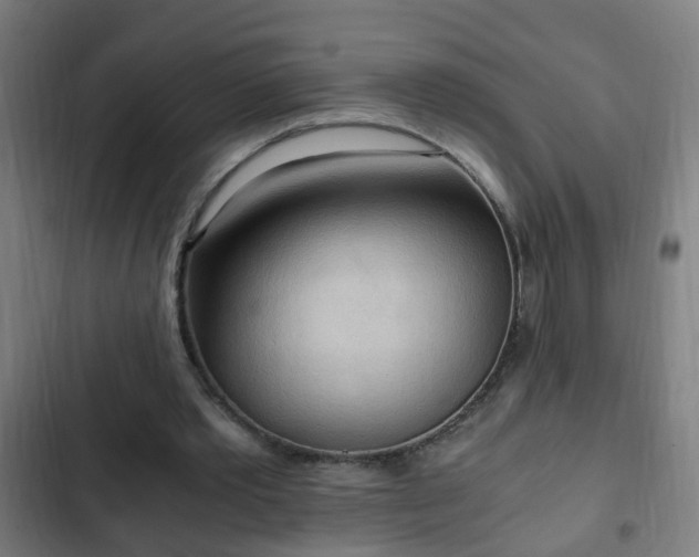 X0000103130389200808291321