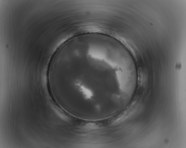 X0000103130390200808291321