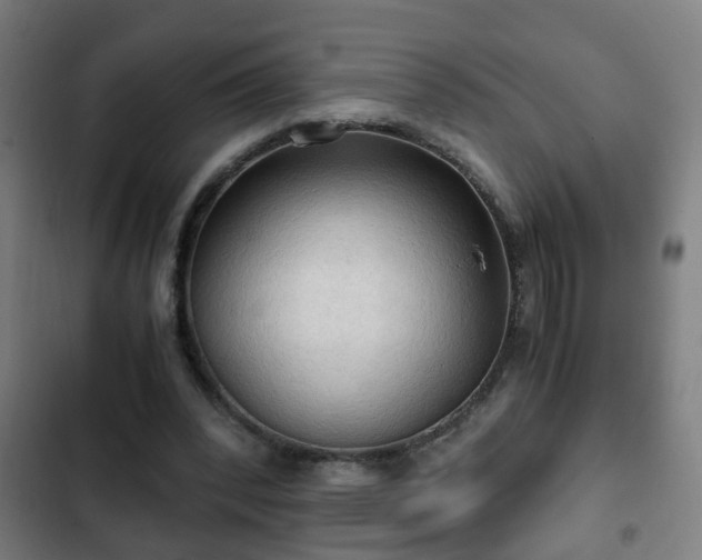 X0000103130392200808291321