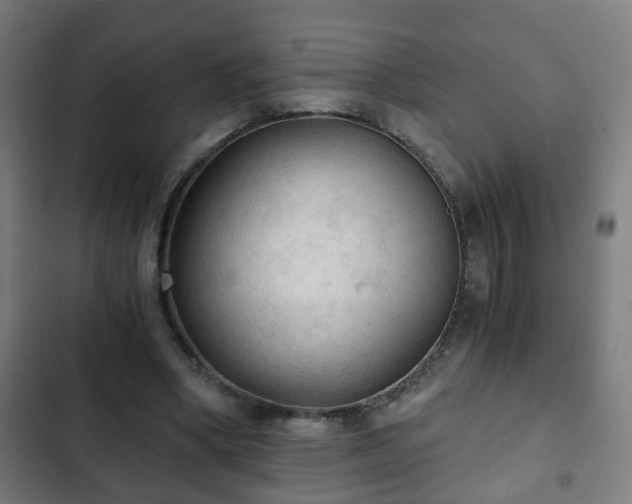 X0000103130394200808291321