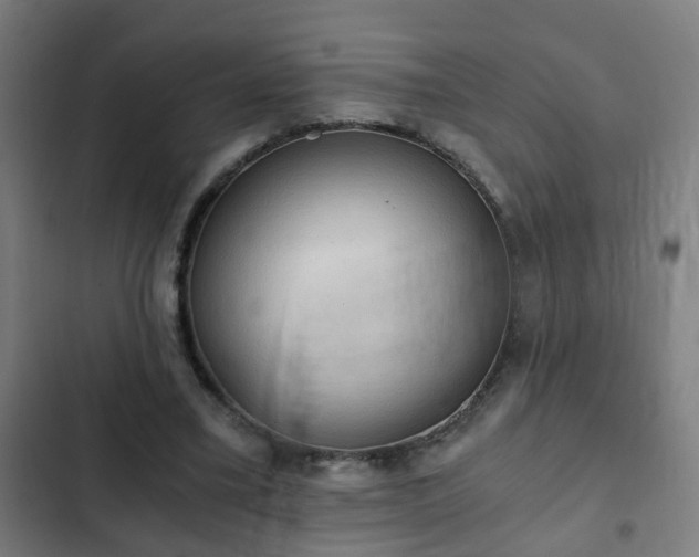 X0000103130395200808291320