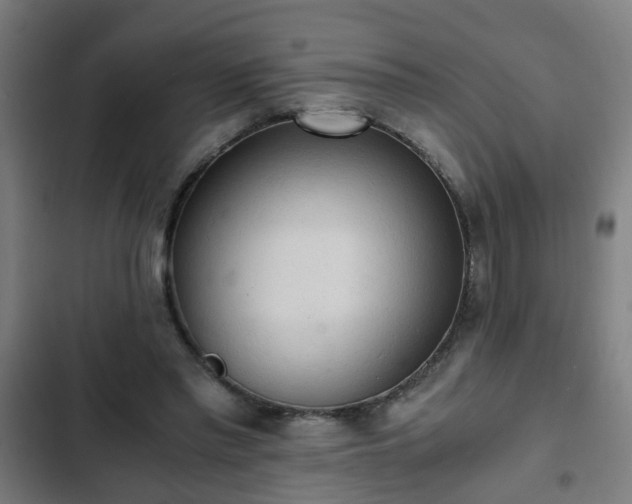 X0000103130397200808291320