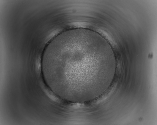 X0000103130398200808291320