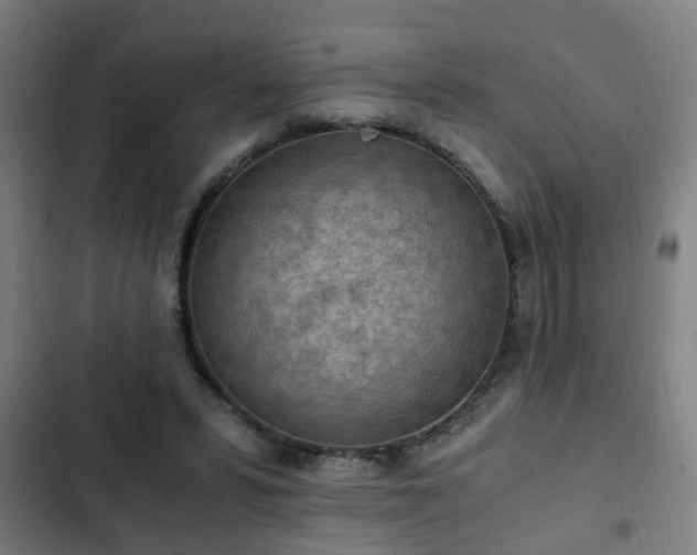 X0000103130399200808291320