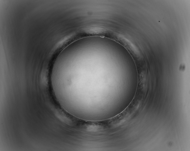 X0000103130400200808291320