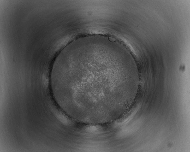 X0000103130402200808291320