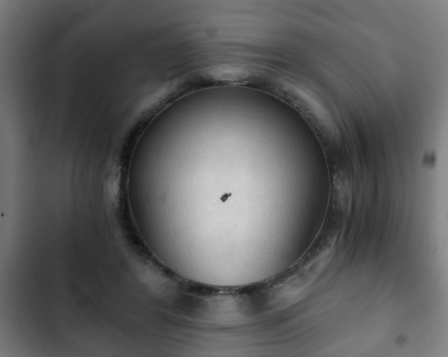 X0000103130404200808291320