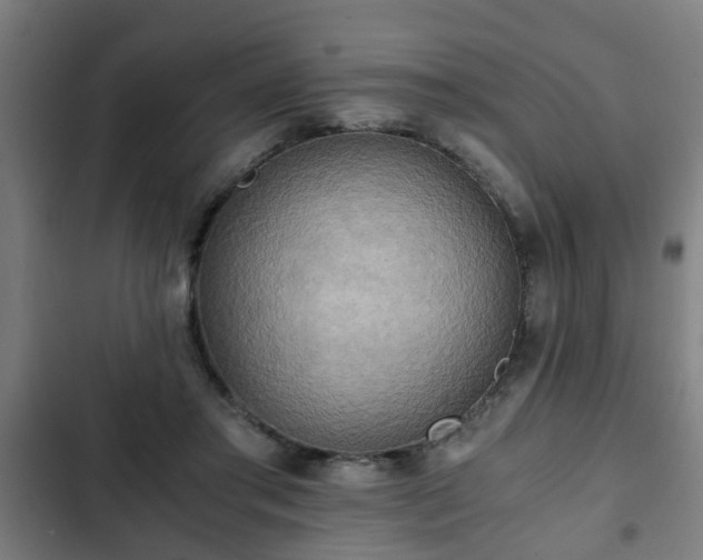 X0000103130405200808291320